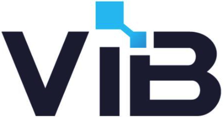 VIB LOGO